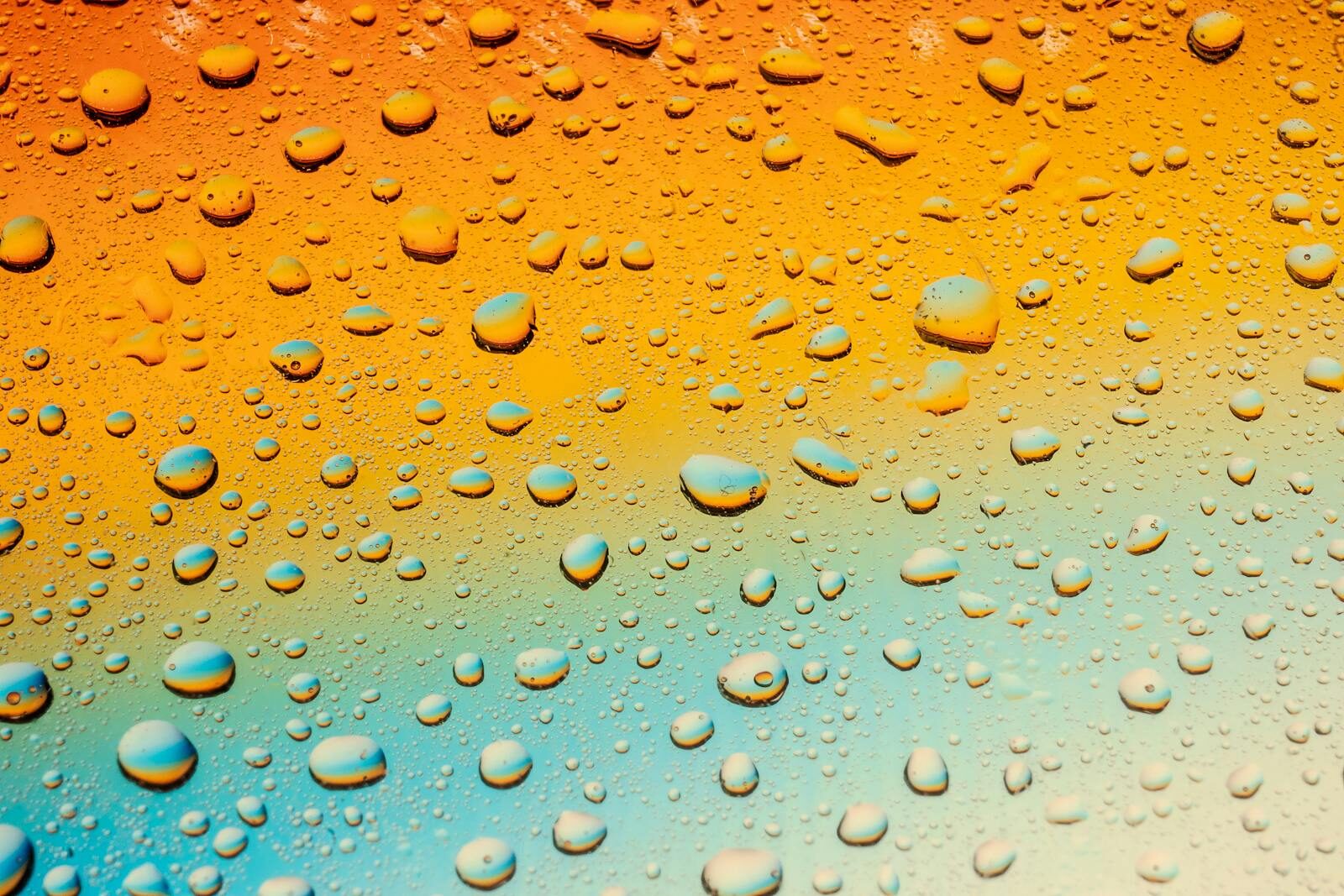 Role of Administrative Agencies